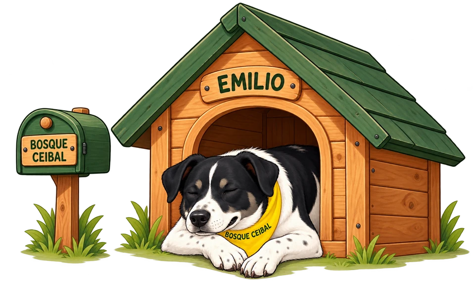 Emilio duerme en su casita, junto a un buzón que dice Bosque Ceibal.